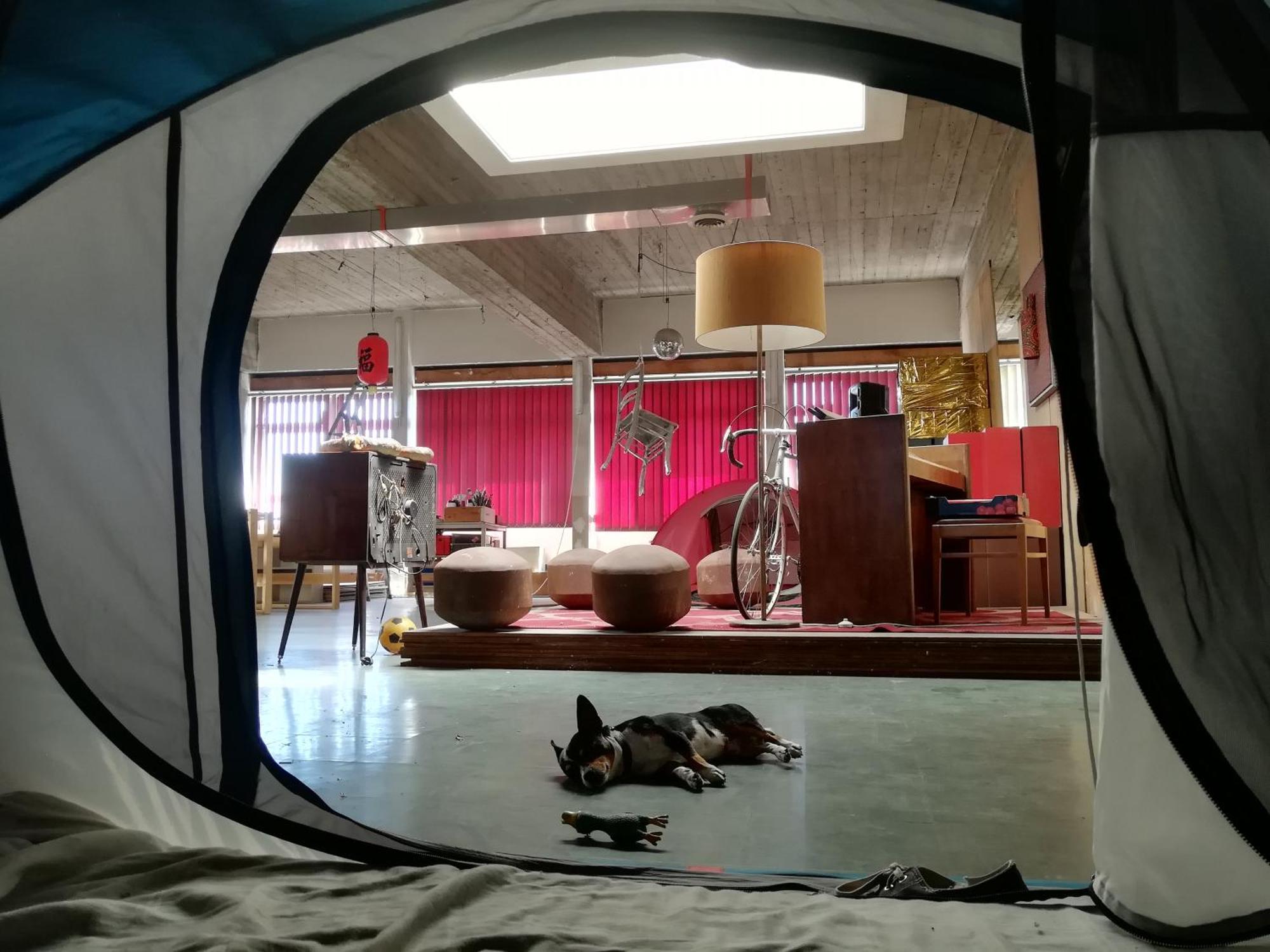 Ghostel 1St - Aventure Alternative - Guest House - Arts-Factory-Experience - For Artists, Makers And Open Minds - Attention, We Are Not A Hotel And Are Not Adapted For Everybody - Read Host Warnings Before Reservation - Www,Providence,Be Asbl Charleroi Esterno foto